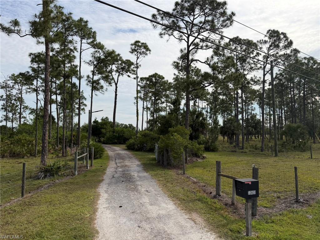 PUNTA GORDA - Residential