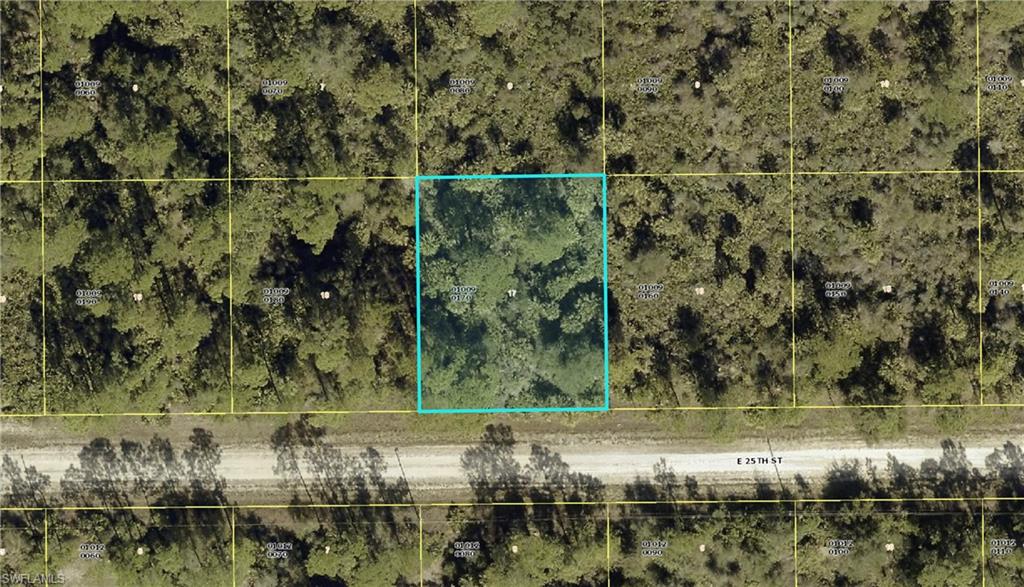 Privacy and potential with a motivated price tag! Oversized lot in Flood Zone X, offering peace of mind and room to spread out. Enjoy a quiet, rural setting for single-family living, while still being close to outdoor recreation. Located near the Caloosahatchee River for boating and fishing, Alva Community Park, and Hickey Creek Mitigation Park with scenic trails and wildlife. You get the perks of Alva while being close to growing Lehigh Acres. A great opportunity to build or invest in a growing area of Alva!