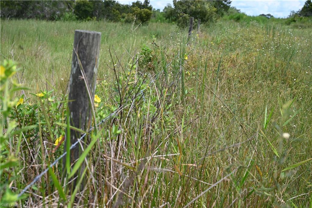 ACREAGE - Land