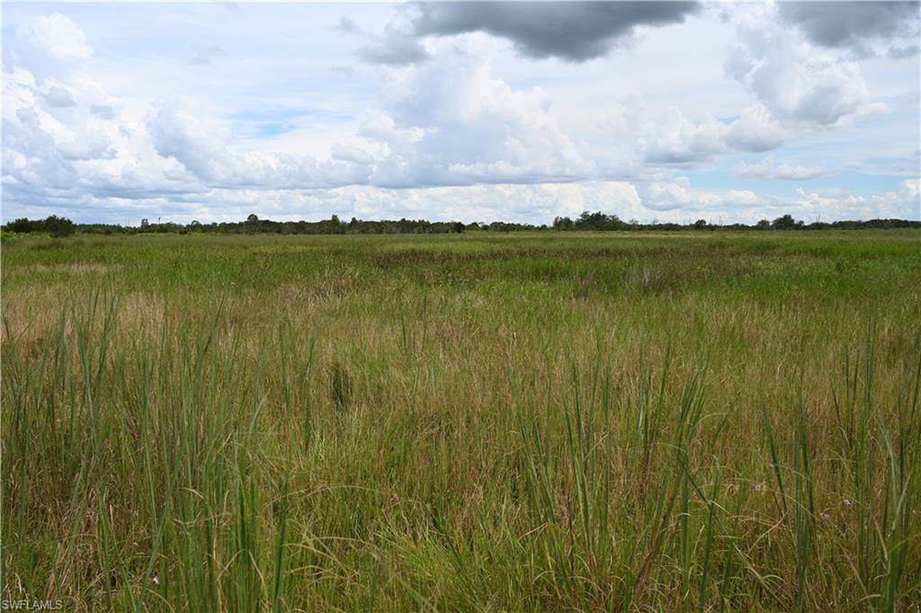 ACREAGE - Land