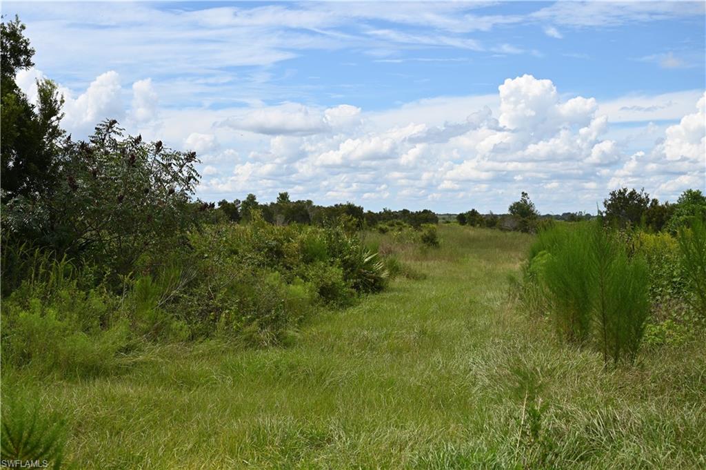 ACREAGE - Land