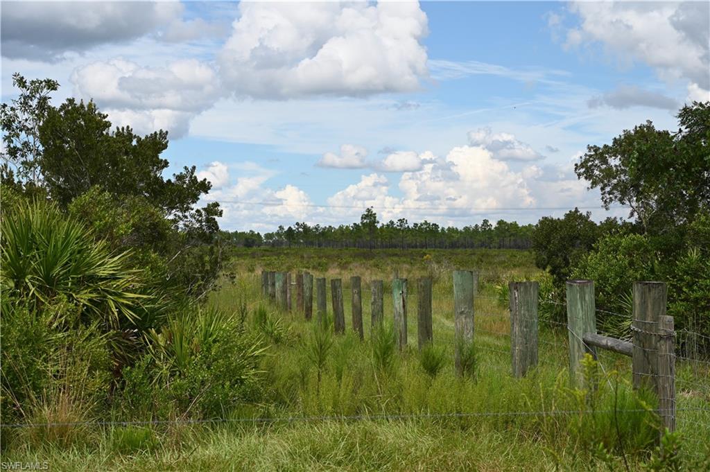 ACREAGE - Land