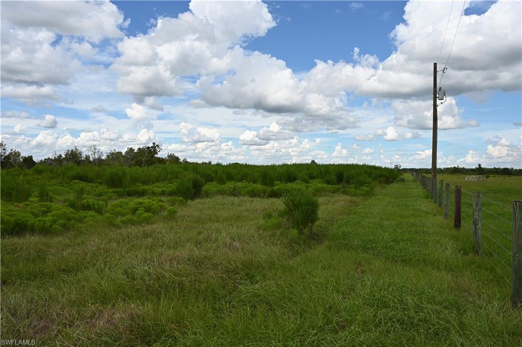 ACREAGE - Land