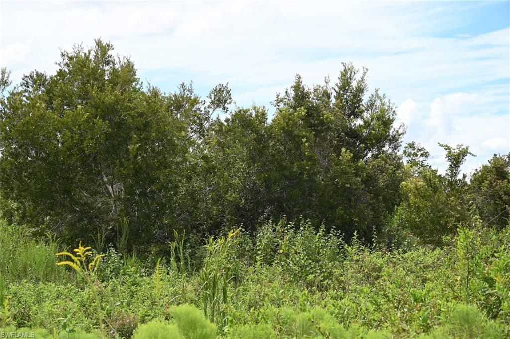 ACREAGE - Land