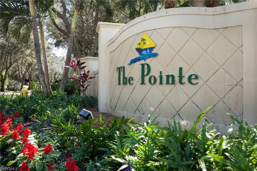 POINTE AT PELICAN LANDING - Residential