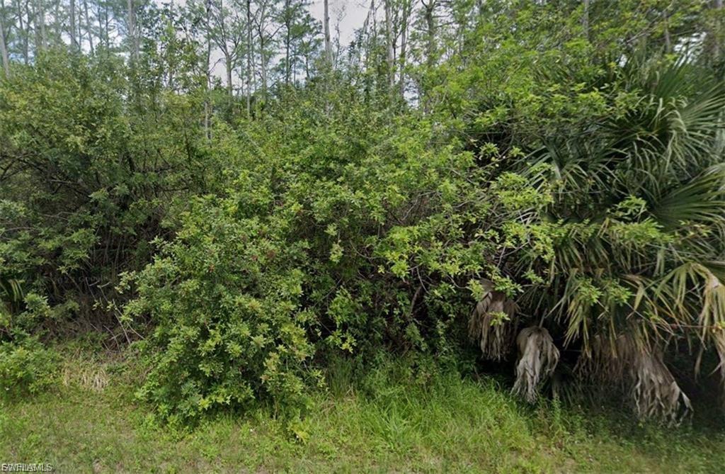 LEHIGH ACRES - Land