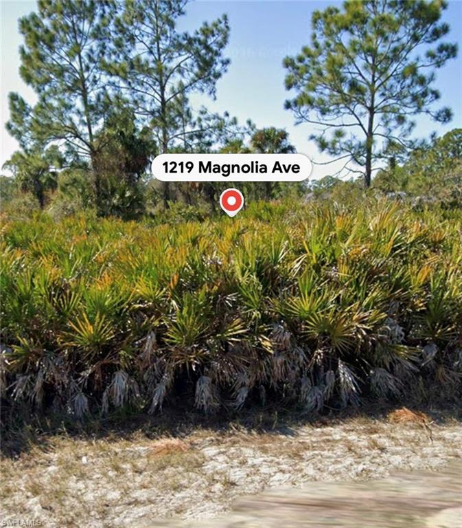LEHIGH ACRES - Land