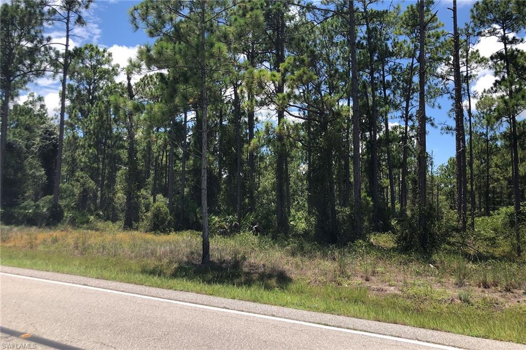LEHIGH ACRES - Land