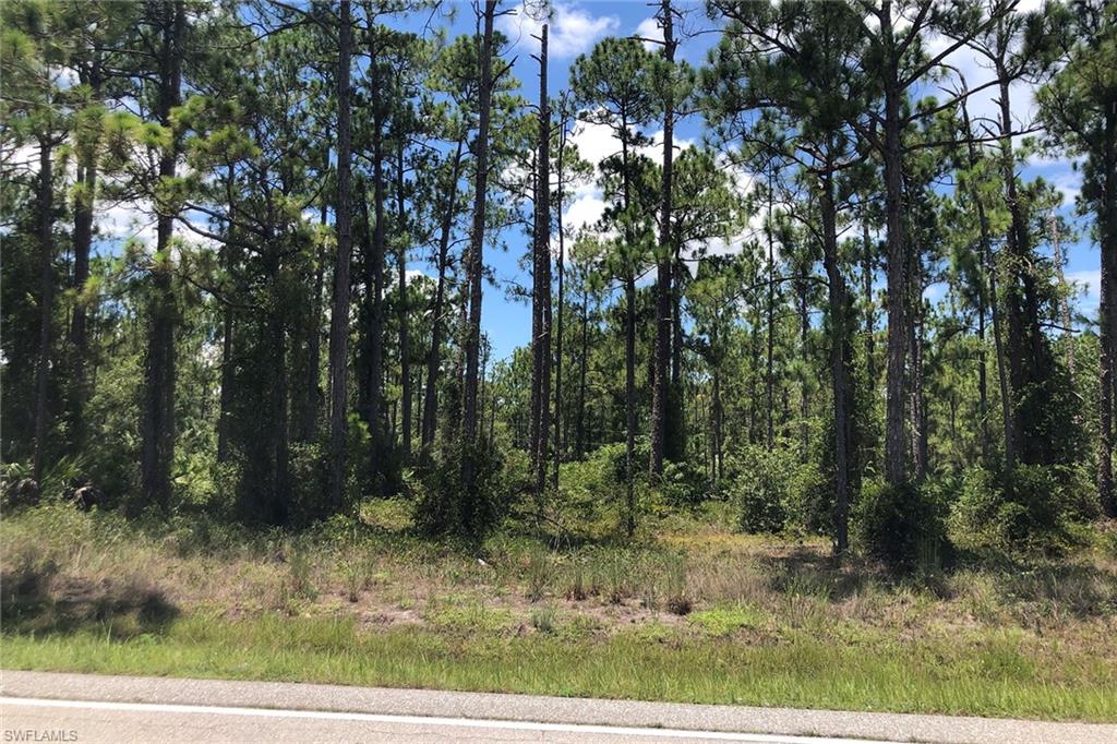 Vacant half acre lot
