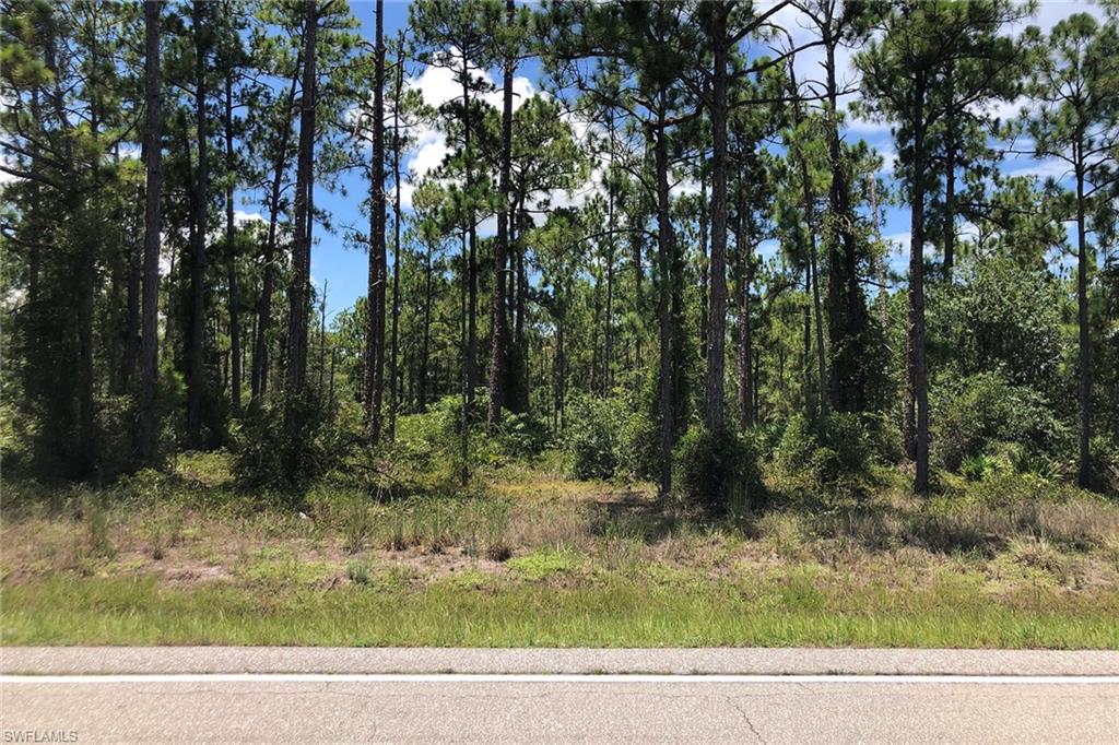 LEHIGH ACRES - Land