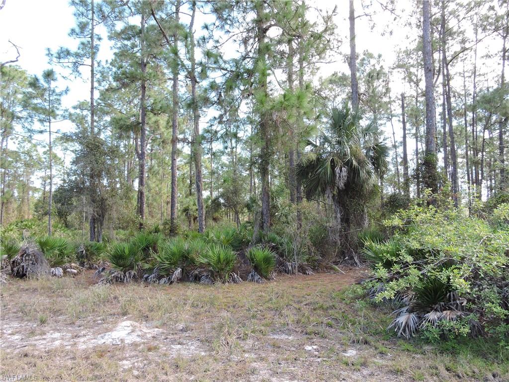 LEHIGH ACRES - Land
