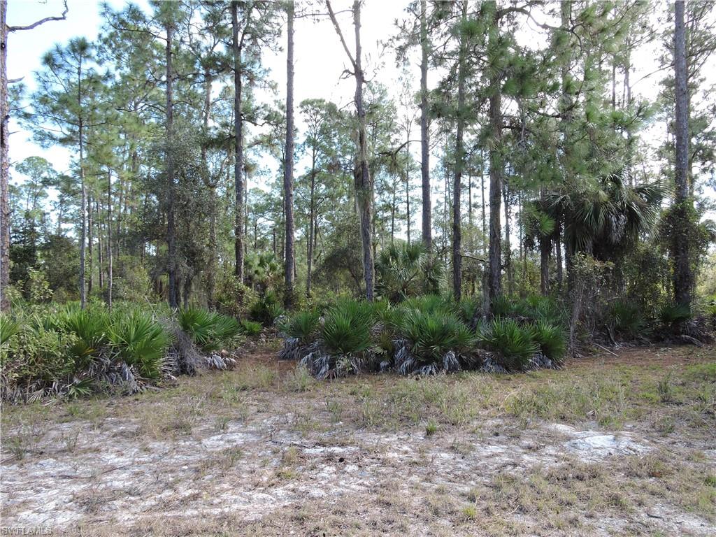 LEHIGH ACRES - Land
