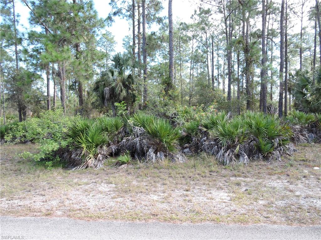 LEHIGH ACRES - Land