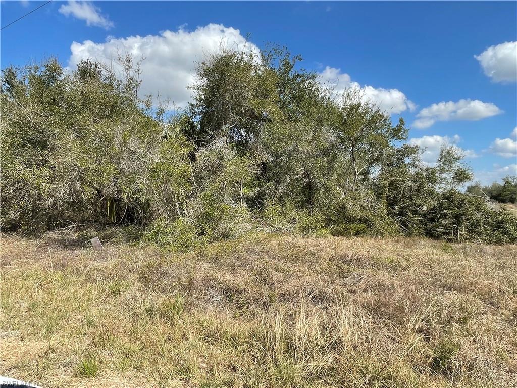 LEHIGH ACRES - Land
