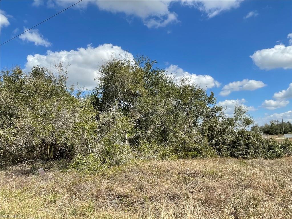 LEHIGH ACRES - Land