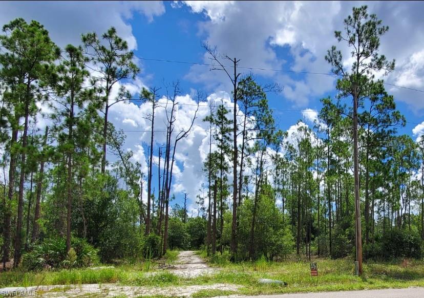 Great affordable lot ready to build your dream home on 1/2 acres.