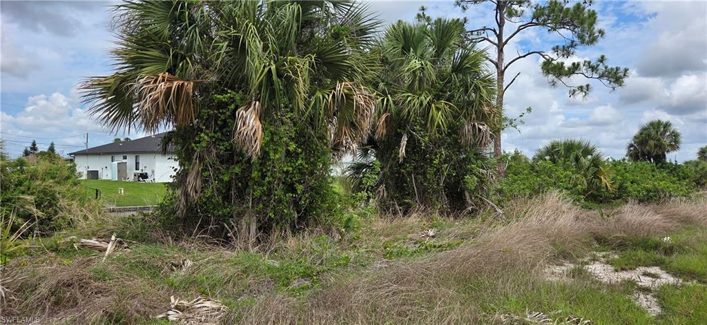 CAPE CORAL - Land