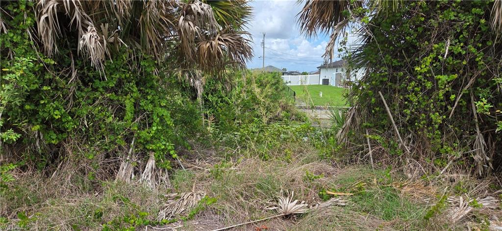 CAPE CORAL - Land