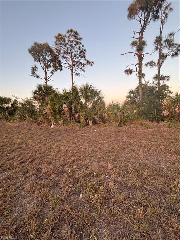 CAPE CORAL - Land