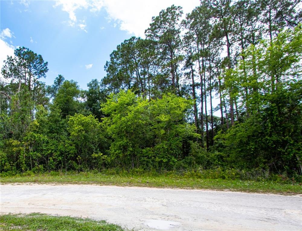 Impressive 3/4 acre lot on a scenic lake in Ridge Manor Estates. This site is perfect for a future dream home or as an investment. Kayak and fish in your own back yard. Great up and coming community, especially for nature lovers and outdoor enthusiasts-- new construction is popping up, but the neighborhood is still mostly rural. No HOA. All kinds of Florida wildlife abounds in the area, especially native and migratory birds. And, the community is surrounded by some of the state's best wildlife areas. Right down the street is Withlacoochee State Forest with miles of hiking/horseback/biking trails. Silver Lake Recreation Area is only a few miles away. Richloam Wildlife area and Green Swamp West wildlife areas are just minutes away by car. Short drive to Interstate 75; Tampa, Orlando and Florida's gorgeous beaches are all within an hour drive. Don't miss the opportunity to own your own piece of paradise.