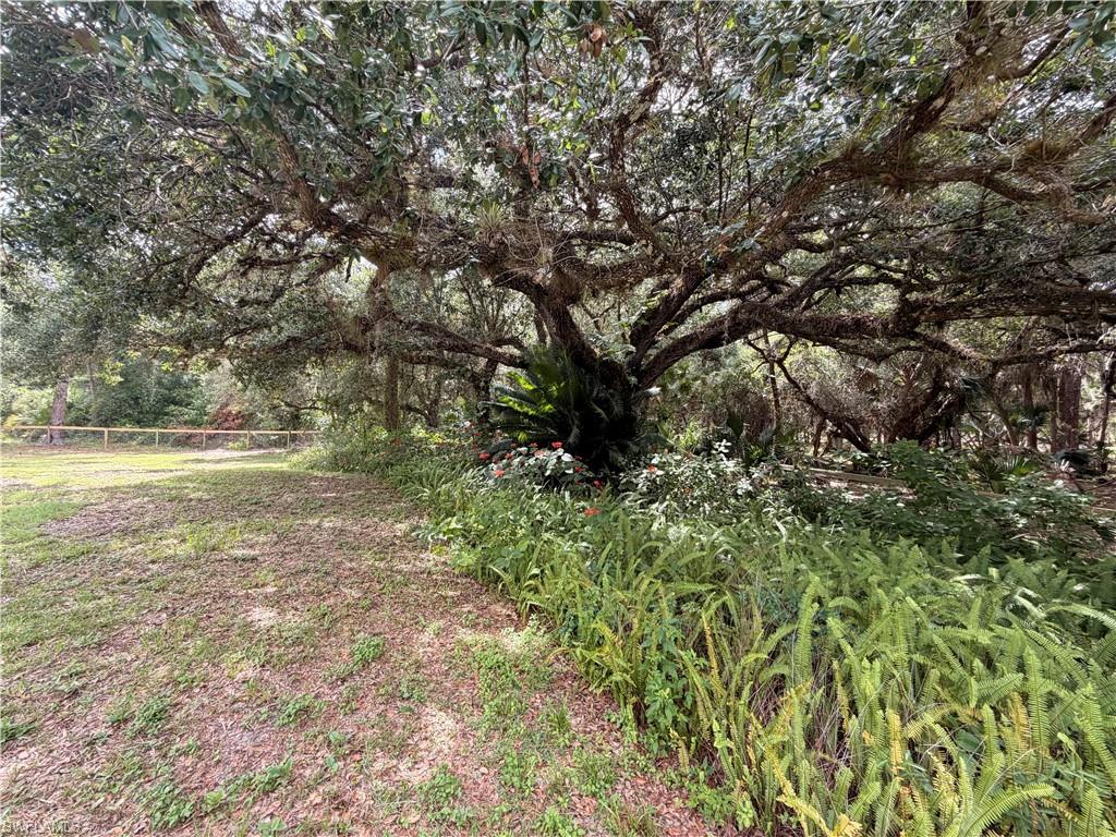 Ranch Style CBS Home on over 1 Acre in Alva-100 year old Oak Hammock on a -Fenced  & gated property.
Metal Roof and CBS home built on very high lot with underground utilites.
Appointment Please
