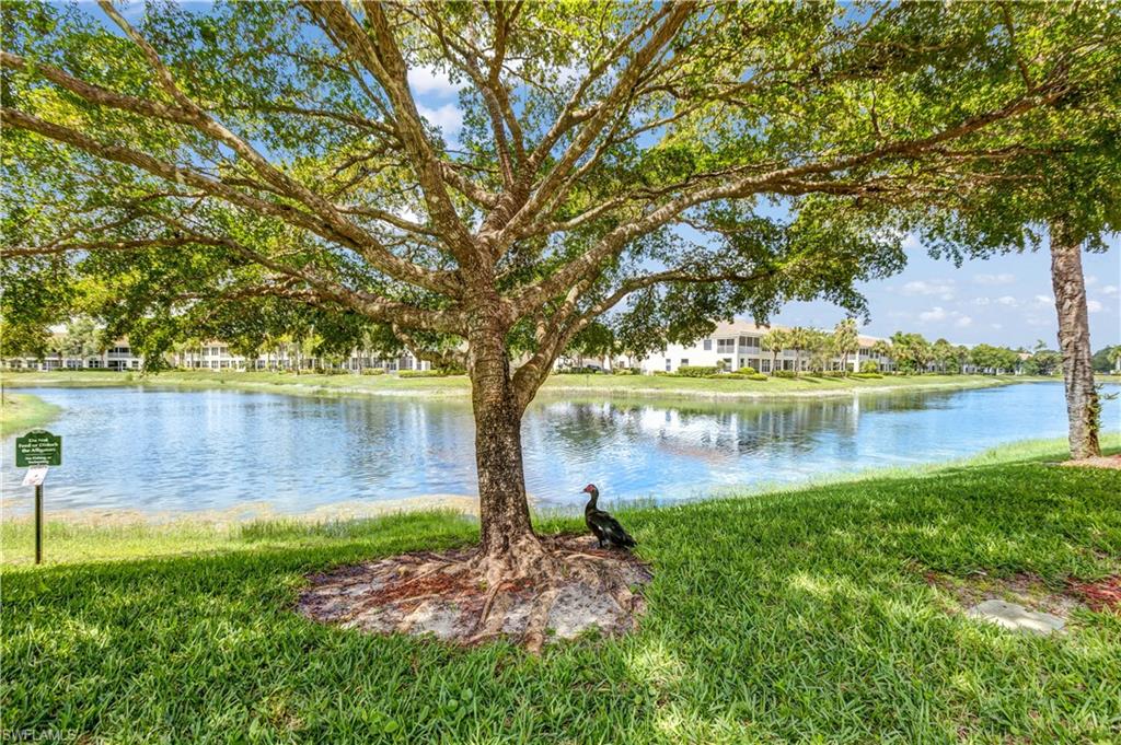 PINEHURST - Residential Lease