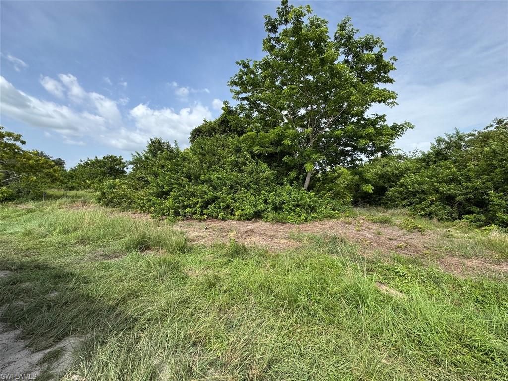 CAPE CORAL - Land