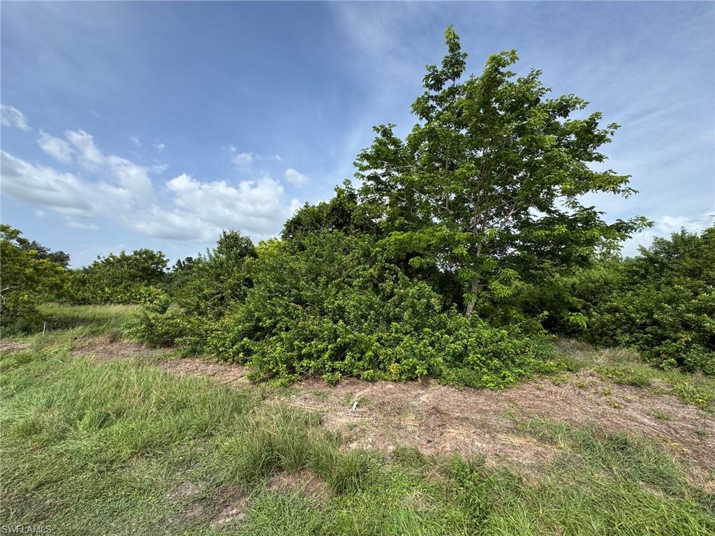 CAPE CORAL - Land