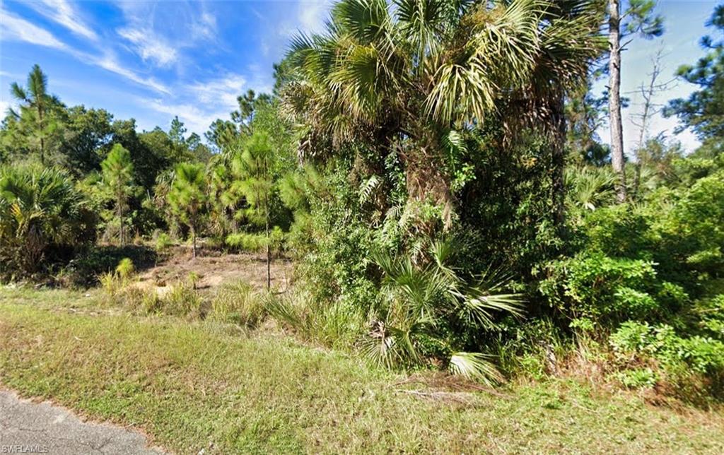 LEHIGH ACRES - Land