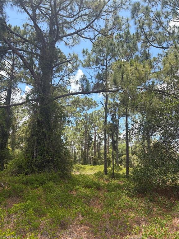 MONTURA RANCH ESTATES - Land