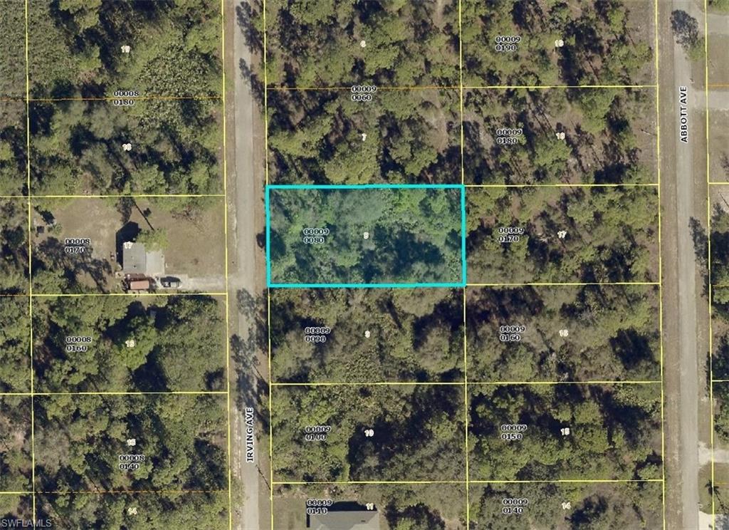 Residential Homesite located in the NE area of Alva, just east of Joel Blvd.  Easy access to SR 80 for a shorter commute time to I-75 and Fort Myers community.  This lot is 1/2 acre in size and will require a well and septic to build.
