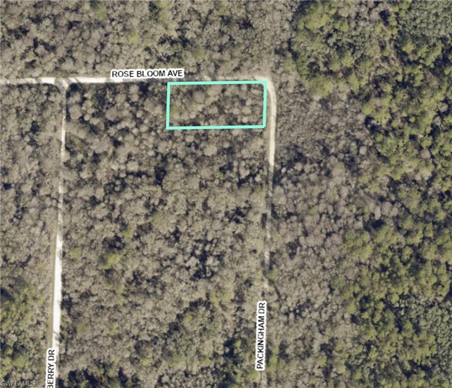 Rural .99 acre vacant CORNER lot for sale. This site is perfect for a future dream home or as an investment. Great up and coming community, especially for nature lovers and outdoor enthusiasts-- new construction is popping up, but the neighborhood is still mostly rural/wooded. No HOA. Need more land? The adjoining 1.17 acre lot is also for sale. All kinds of Florida wildlife abounds in the area, especially native and migratory birds. And, the community is surrounded by some of the state's best wildlife areas. Right down the street is Withlacoochee State Forest with miles of hiking/horseback/biking trails. Silver Lake Recreation Area, Richloam Wildlife area, and Green Swamp West wildlife areas are just minutes away by car. Short drive to Interstate 75; Tampa, Orlando and Florida's gorgeous beaches are all within an hour drive. Don't miss the opportunity to own your own piece of paradise.