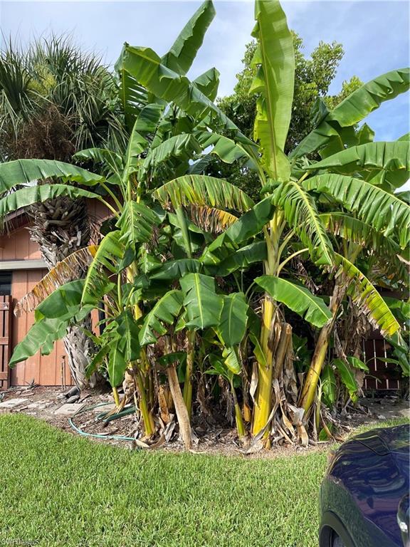 FOXMOOR LAKES - Residential