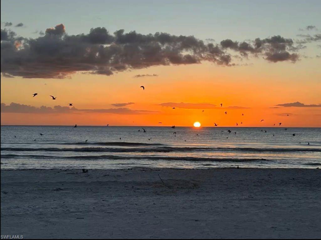MARCO ISLAND - Residential Lease