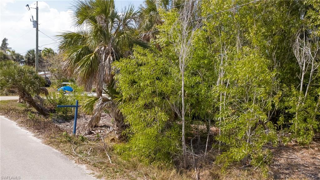 PINE ISLAND - Land