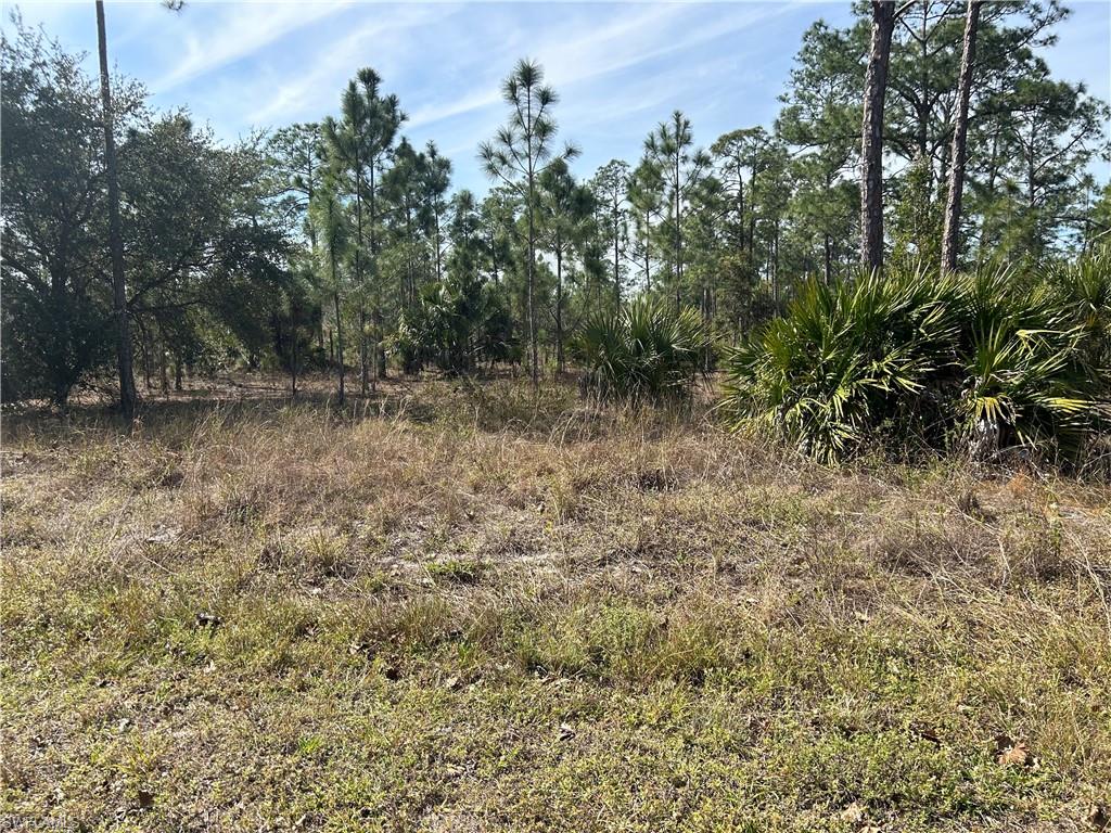 LEHIGH ACRES - Land