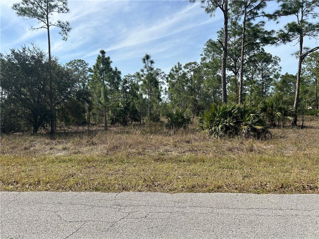 LEHIGH ACRES - Land