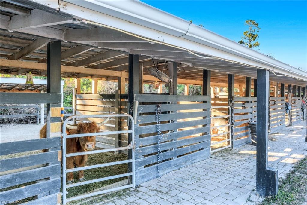 SUN COAST ACRES - Residential