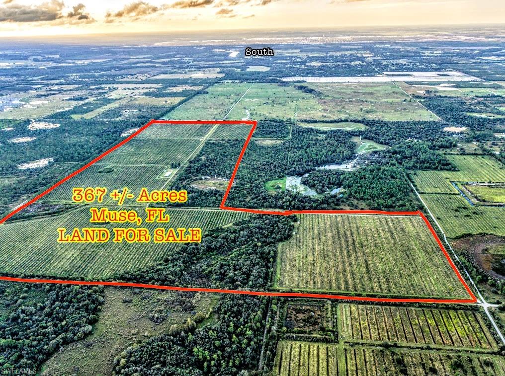 LOCATED IN THE MUSE AREA OF GLADES COUNTY IN LABELLE, FLORIDA: 367 acres—a wonderful mix of existing grove, one block of grove that has been pushed for replanting, and native conservation land, perfect for hunting. This land could also be divided into 20 acre or greater tracts, now allowed by Glades County with unpaved standard roads. Such tracts could be mixed use for farming, grove, pasture, hunting or retreat. This property currently has approximately 135+/- acres of Valencias; 35+/- acres of Early/Mids; and 35+/- acres of cleared land ready for replanting; and the remainder in conservation/hunting/retreat property. The grove is planted on Swingle and Carrizo rootstock. Approximately 75% of the property is in Flood Zone X, requiring no flood insurance, and approximately 25% is in Flood Zone A, which requires flood insurance. There are 3 wells, 2 in use; 2 diesel pumps and 1 electric pump. Zoning is Open Use Agriculture; Future Land Use is Agricultural/Open and Conservation. With the agricultural exemption, the 2021 taxes totaled $9,274.62. AN EXCELLENT INVESTMENT PROPERTY NO MATTER WHAT YOUR USE!