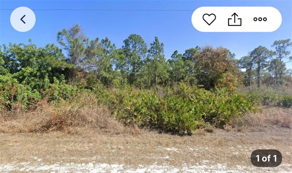 LEHIGH ACRES - Land