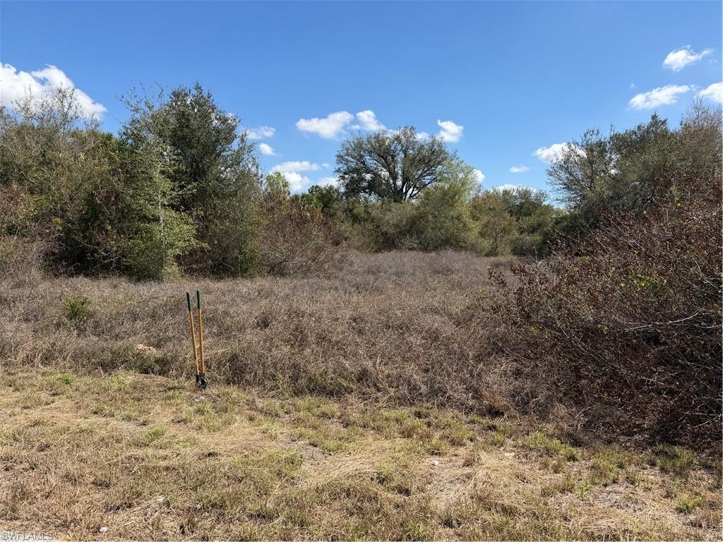 LEHIGH ACRES - Land