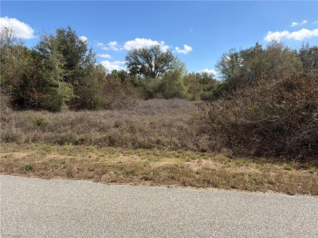 LEHIGH ACRES - Land