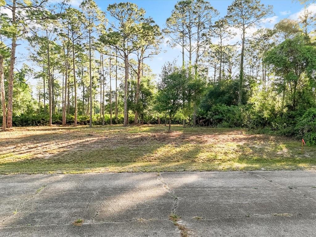 This oversized residential corner lot in Port LaBelle, BANYAN VILLAGE- offers a great opportunity with southeast exposure, providing ample sunlight throughout the day. The lot is cleared and ready for construction- SURVEY AVAILABLE- CLEARED FROM ALL BUSHES ETC. - Its corner positioning provides added privacy and potential for unique design opportunities, making it an ideal site for your future home. With easy access to MAIN ROADS and a tranquil setting, this property combines convenience and potential for a custom build and enjoying privacy and Florida life style.