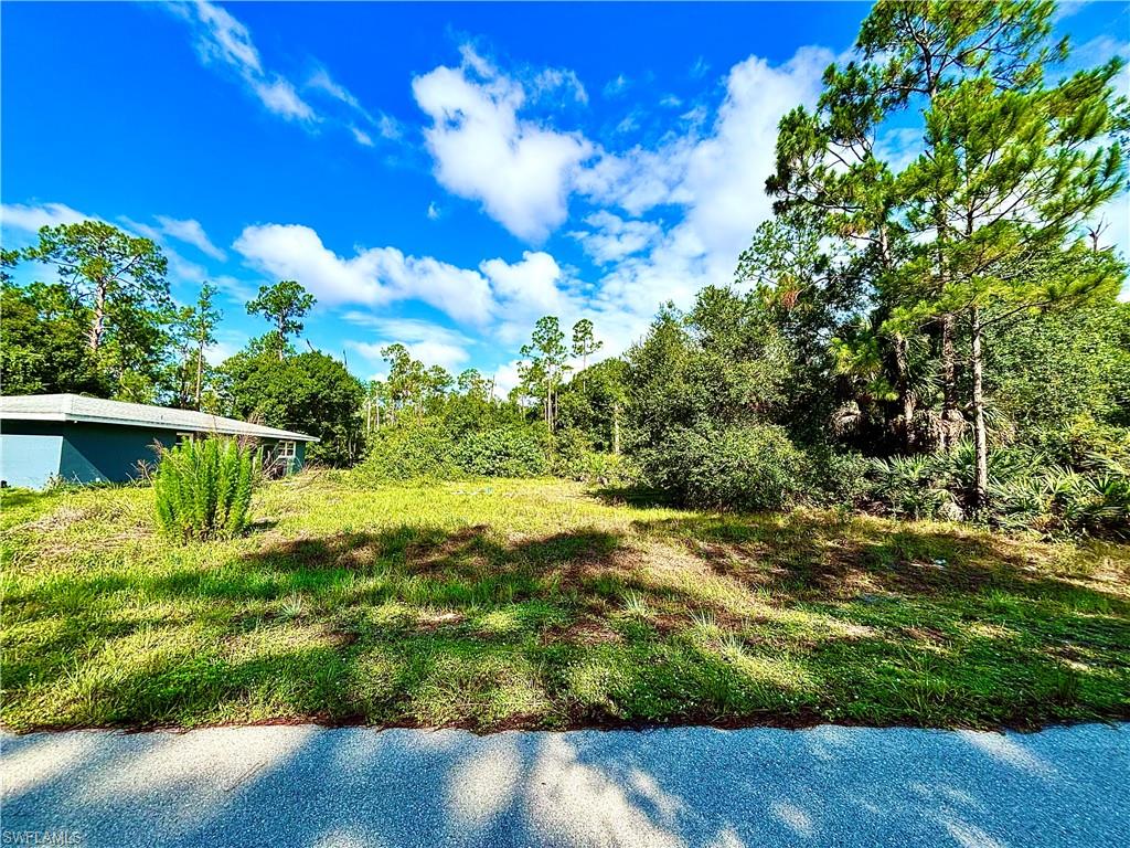 GREAT LOCATION 1/2 ACRE on a paved quiet street with utilities. Just minutes from major amenities and a quick commute to Fort Myers. Come build your DREAM HOME or INVEST today!