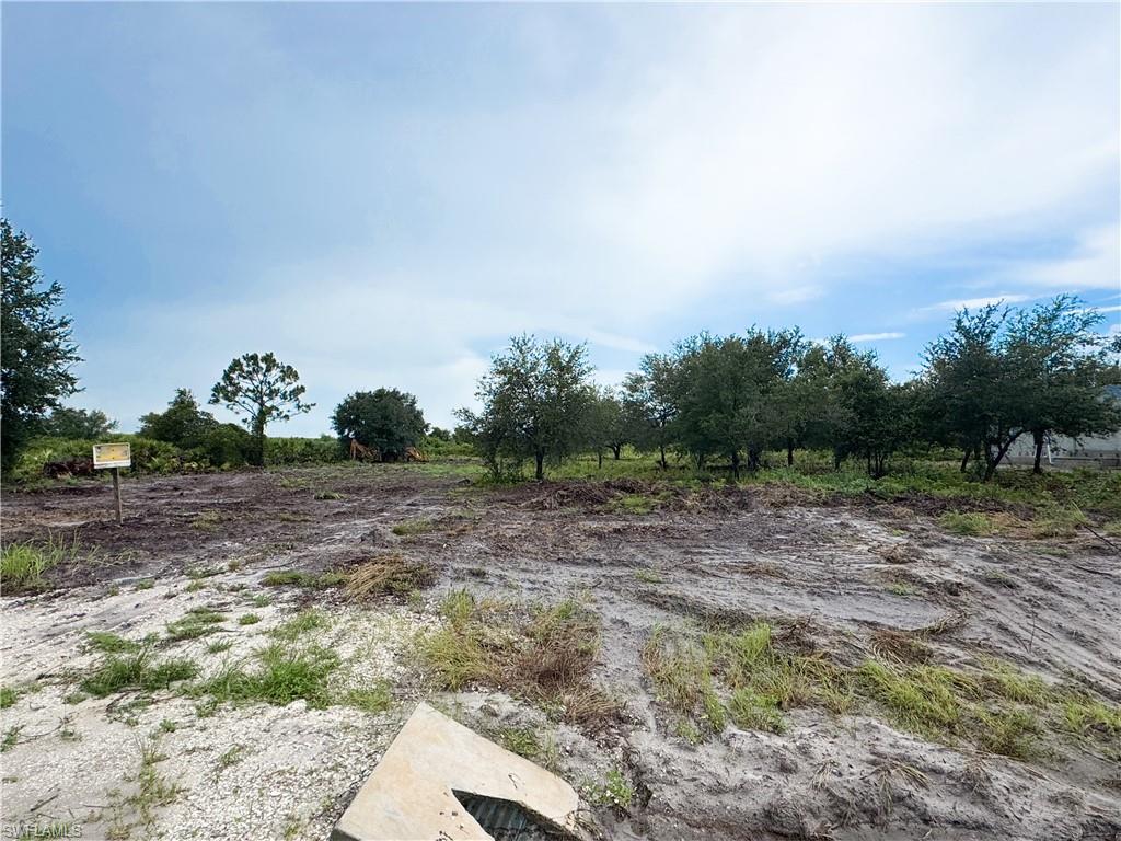 Build-Ready 1.1 Acre Lot – Cleared, Graded & Culvert Installed!

Discover the perfect homesite in the peaceful Hendry County Subdivision off Wheeler Road. This expansive 1.1-acre parcel is cleared, graded, and equipped with a culvert, making it truly ready to build. Nestled in a rapidly growing area of Labelle with numerous new construction homes nearby, this lot is not in  flood zone—offering peace of mind and prime potential for your dream home.

Enjoy the charm of quiet country living with the convenience of being just a short drive from Lehigh Acres, Fort Myers, and local shopping, dining, and entertainment. Beaches and coastal escapes are within easy reach, perfect for weekend getaways. Boaters will love being only 15 minutes from the Alva Boat Ramp, providing quick access to the Caloosahatchee River and endless recreational opportunities.

Whether you're planning to build now or invest in your future, this lot combines location, readiness, and lifestyle potential.