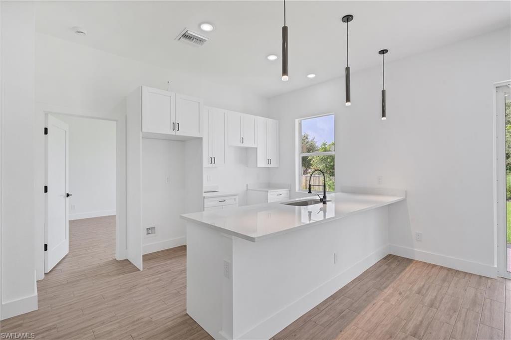LEHIGH PARK - Residential
