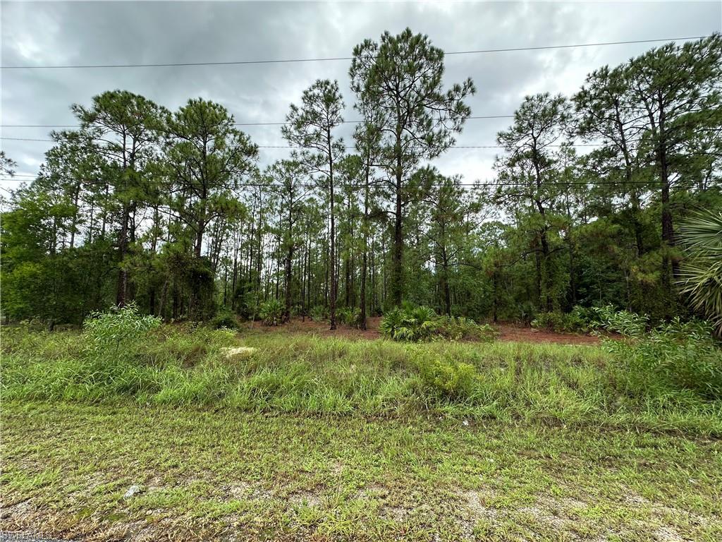 LEHIGH ACRES - Land