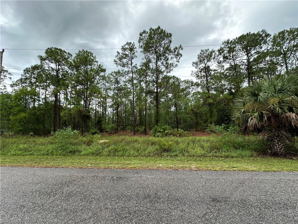 LEHIGH ACRES - Land