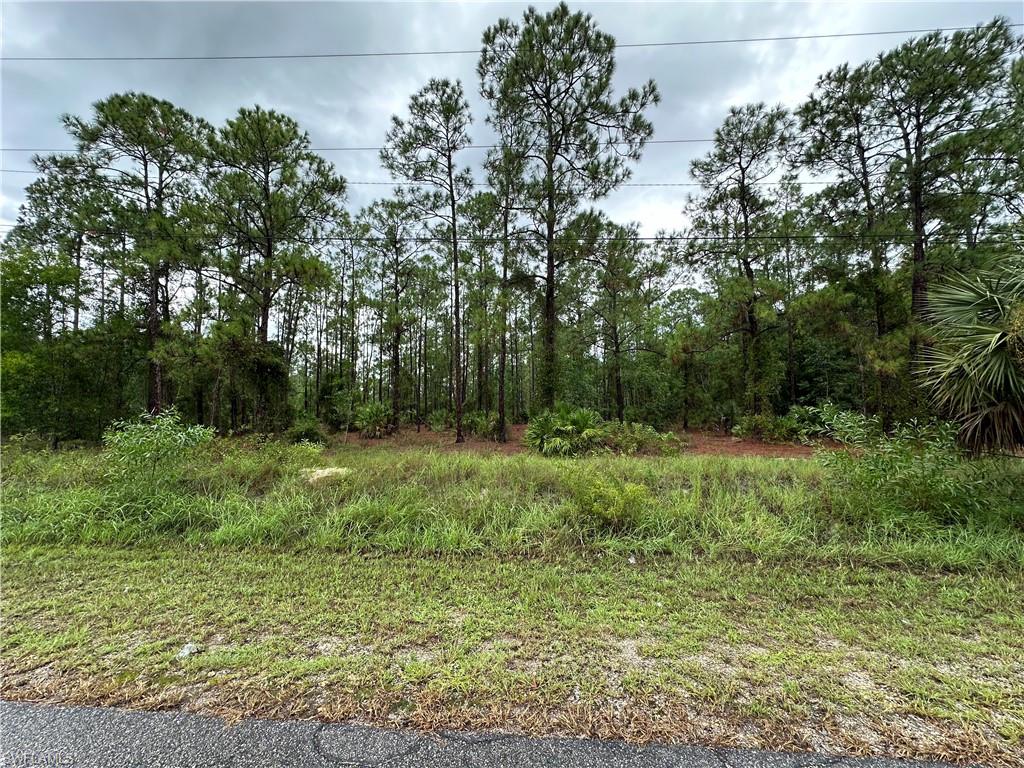 LEHIGH ACRES - Land