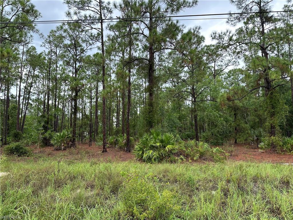 LEHIGH ACRES - Land